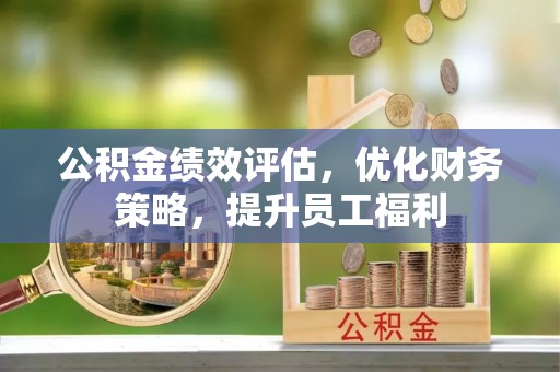 巴州公积金绩效评估，优化财务策略，提升员工福利