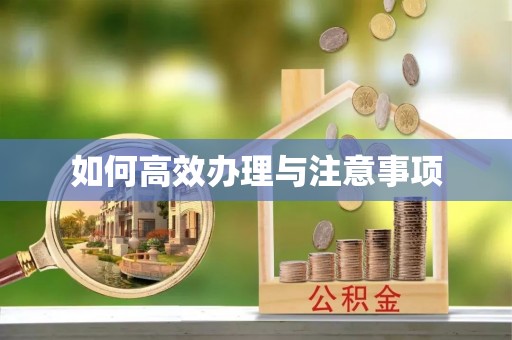 巴州如何高效办理与注意事项