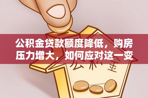 巴州公积金贷款额度降低，购房压力增大，如何应对这一变化？
