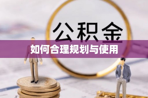 巴州如何合理规划与使用