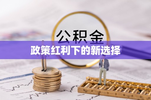 巴州政策红利下的新选择