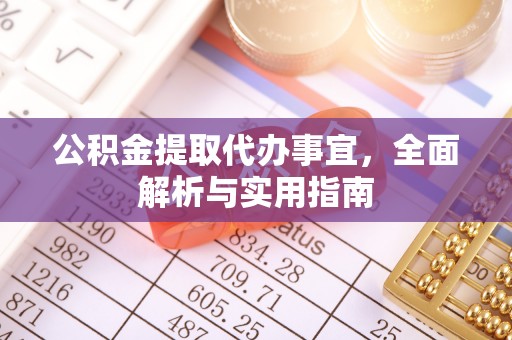 巴州公积金提取代办事宜，全面解析与实用指南