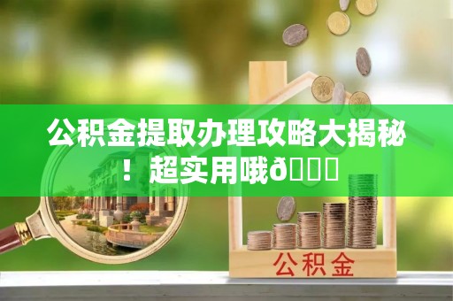 巴州公积金提取办理攻略大揭秘！超实用哦😉