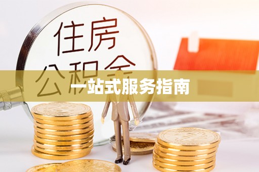 巴州一站式服务指南