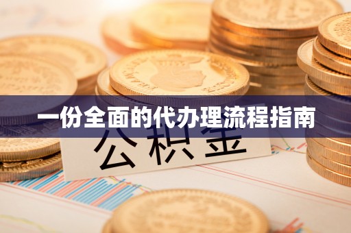 巴州一份全面的代办理流程指南