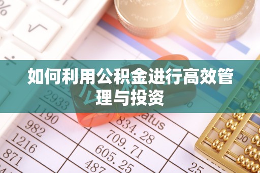 巴州如何利用公积金进行高效管理与投资