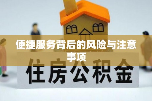 巴州便捷服务背后的风险与注意事项
