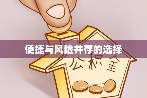 巴州便捷与风险并存的选择