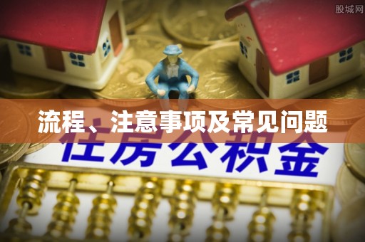 巴州流程、注意事项及常见问题