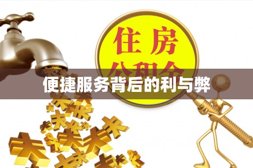 巴州便捷服务背后的利与弊