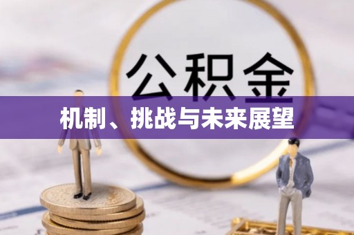 巴州机制、挑战与未来展望