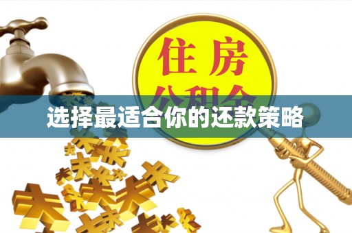 巴州选择最适合你的还款策略