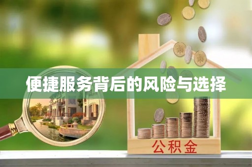 巴州便捷服务背后的风险与选择