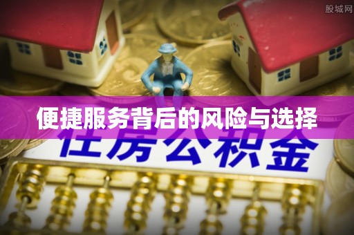 巴州便捷服务背后的风险与选择