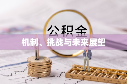 巴州机制、挑战与未来展望