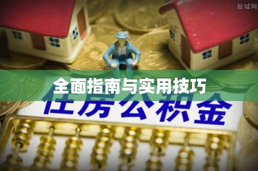 巴州全面指南与实用技巧