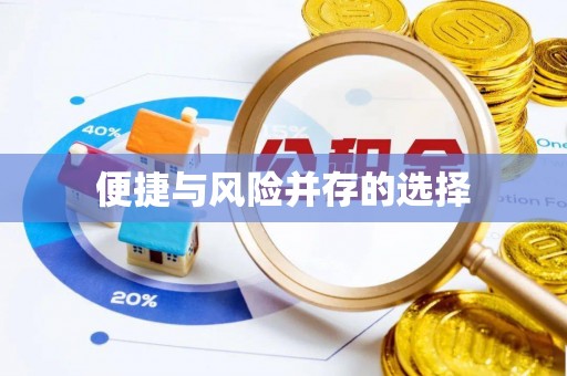 巴州便捷与风险并存的选择