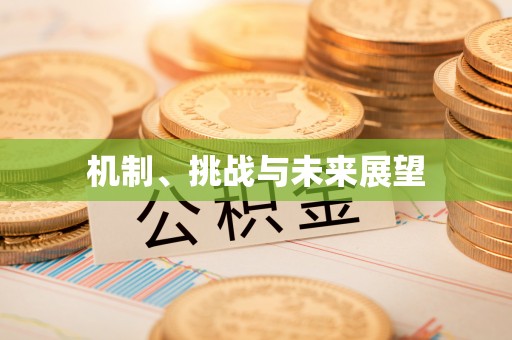 巴州机制、挑战与未来展望